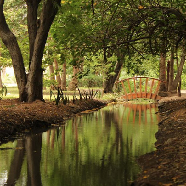 Jardín Botánico Benjamín Francis Johnston